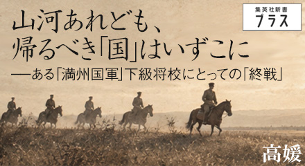 山河あれども、帰るべき「国」はいずこに　高媛